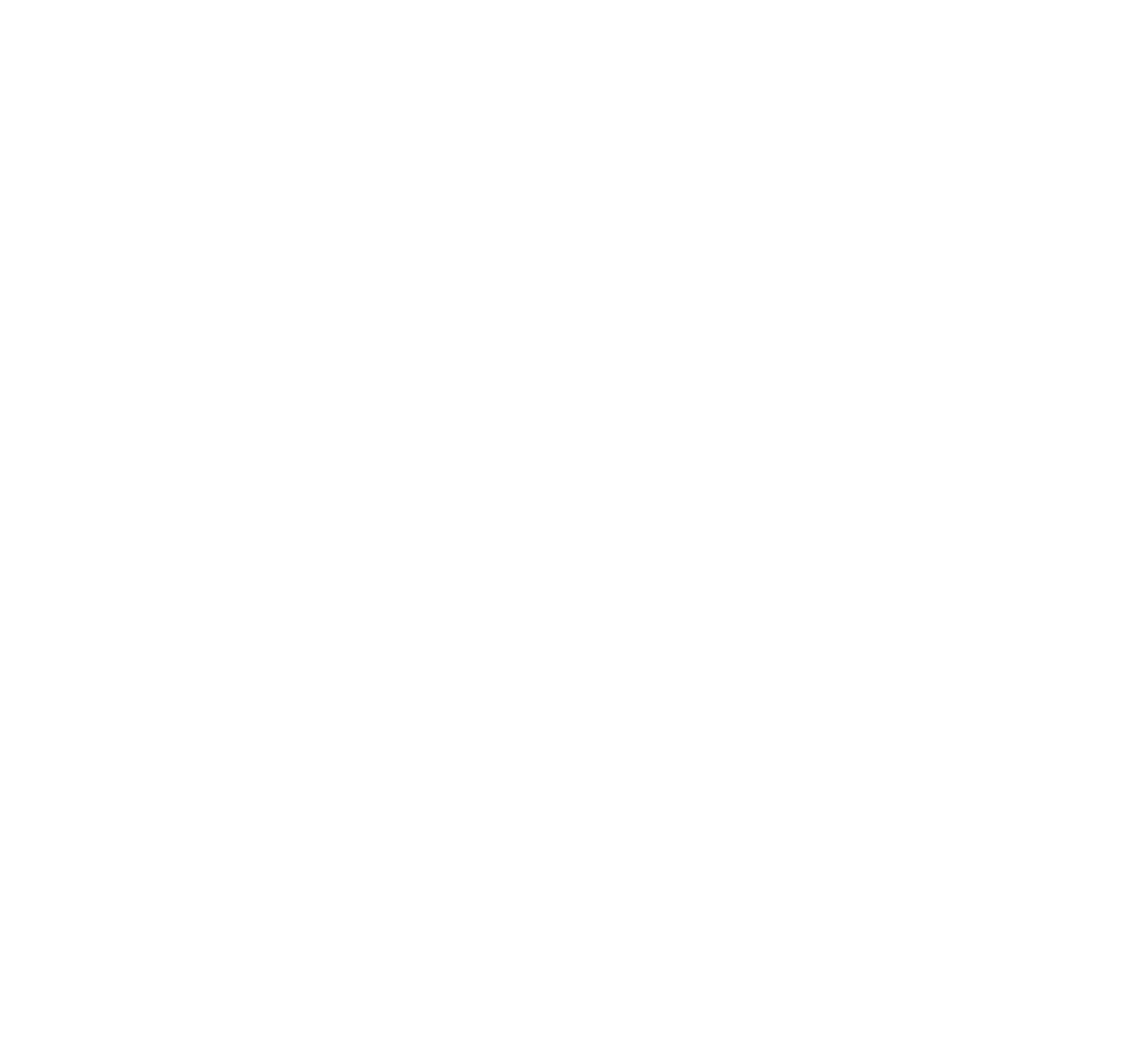 The Twin Owl